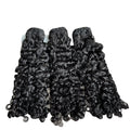 BURMESE CURLY | PREORDER