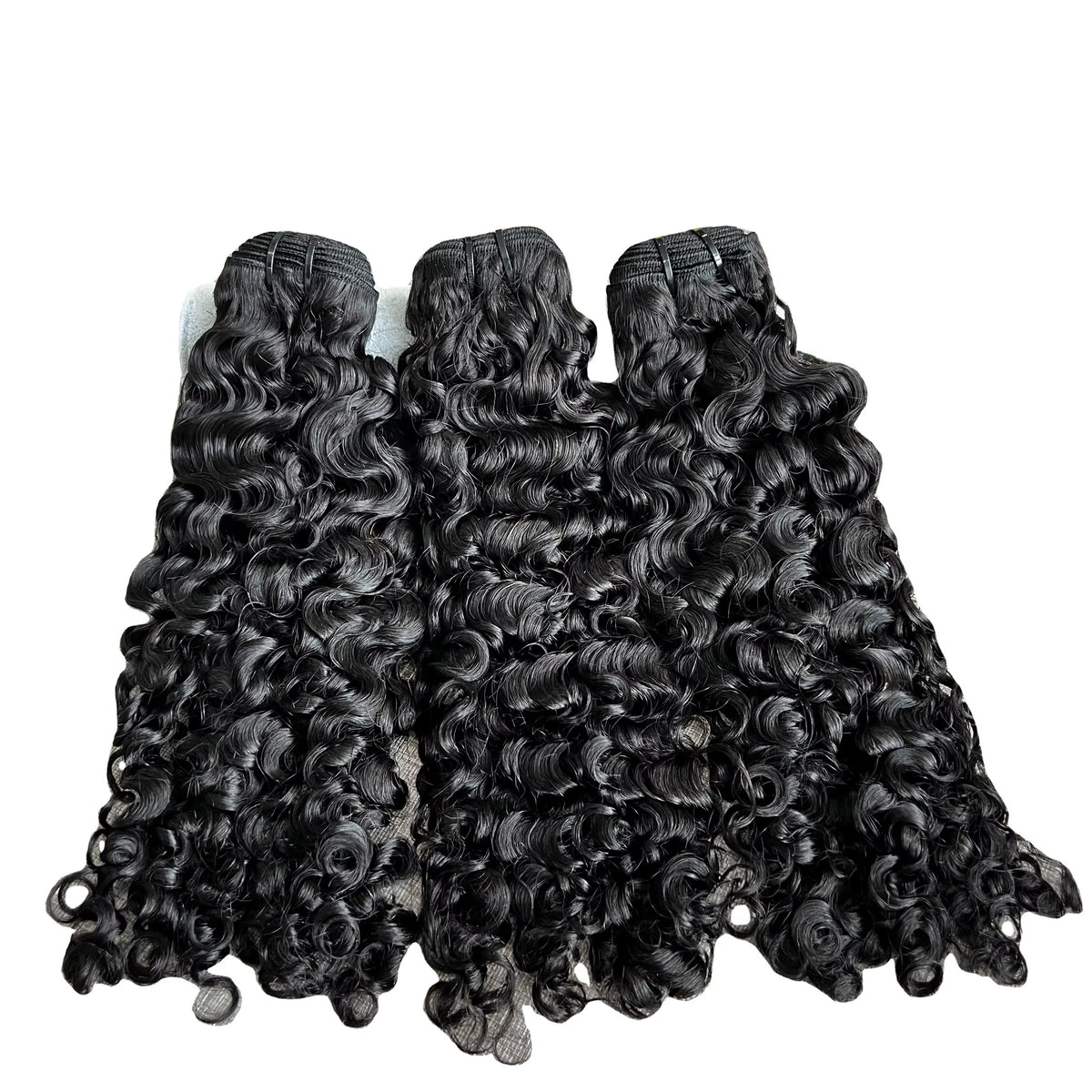 BURMESE CURLY | PREORDER